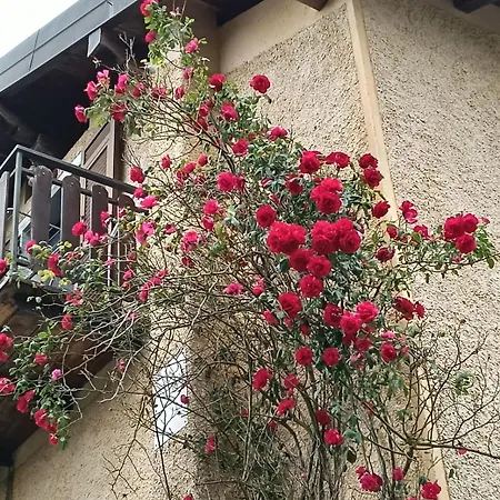 The House On The Apartmán *